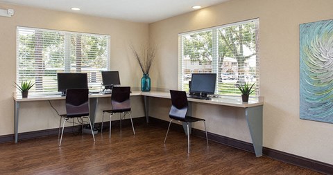 Cyber Cafe at The Reserves of Melbourne Apartment Homes in Melbourne, FL